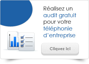 audit telephonie fixe entreprise