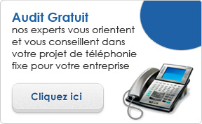 Réalisez une étude gratuite. Réponse sous 48h pour tous types de standards téléphonique. 